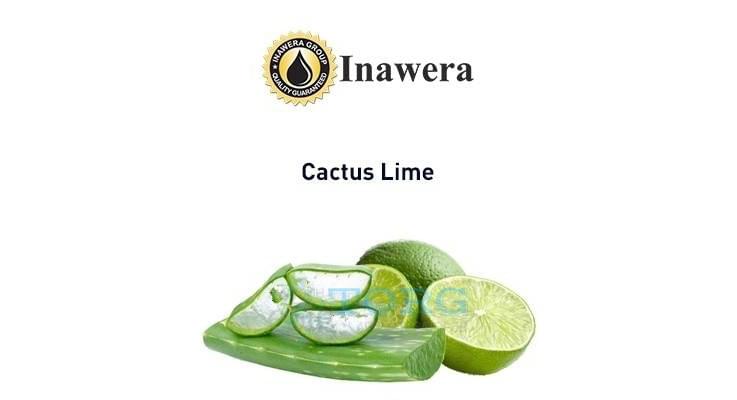 Ароматизатор Inawera Cactus Lime
