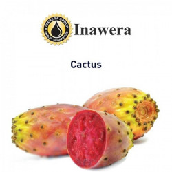 Cactus Inawera