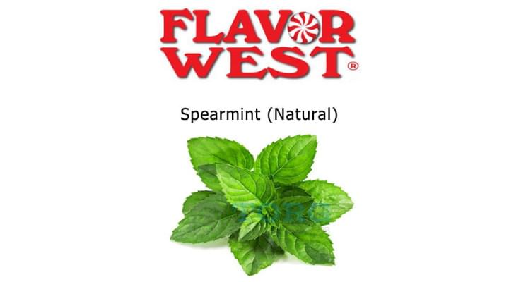 Ароматизатор Flavor West Spearmint (Natural)