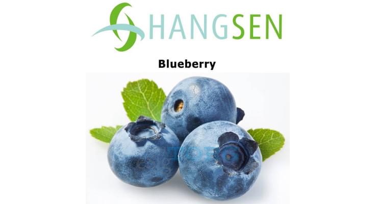 Ароматизатор Hangsen Blueberry