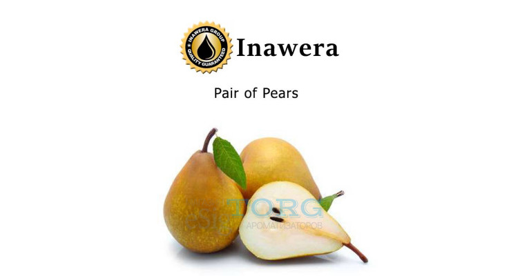 Ароматизатор Inawera Pair of Pears