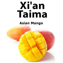 Asian Mango Xian Taima
